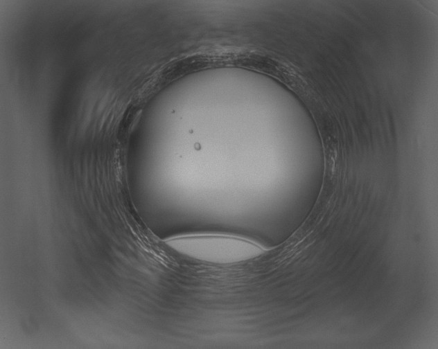 X0000053001204200507080946