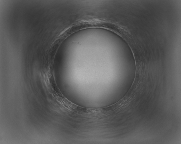 X0000053001205200507080946