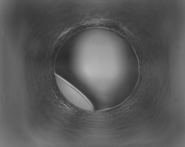 X0000053001206200507080946