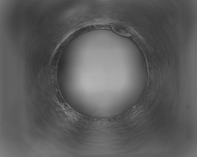 X0000053001208200507080946
