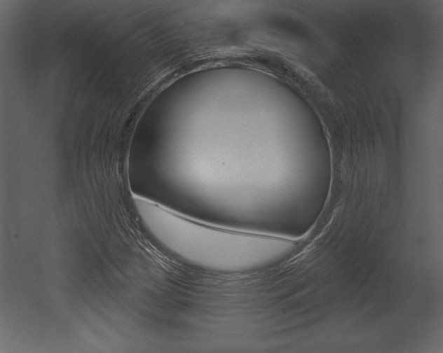 X0000053001209200507080946