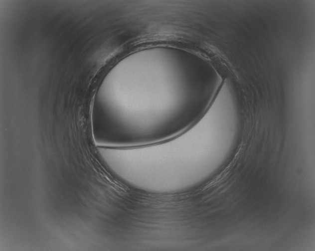 X0000053001210200507080946