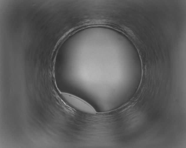 X0000053001212200507080946