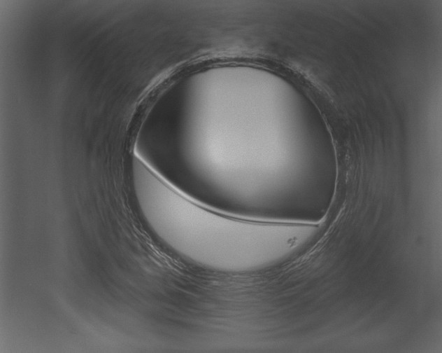 X0000053001213200507080946