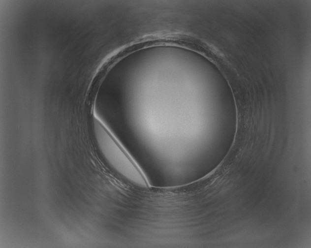 X0000053001214200507080946
