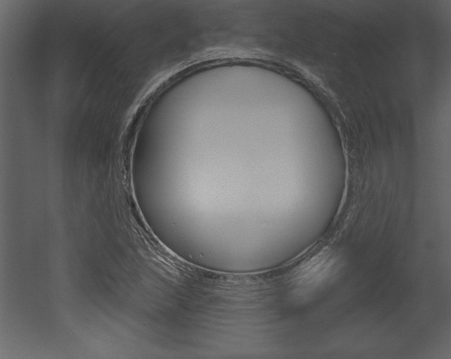 X0000053001215200507080946