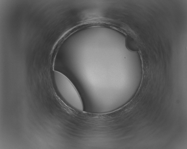 X0000053001216200507080946
