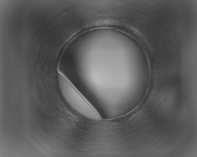 X0000053001217200507080946