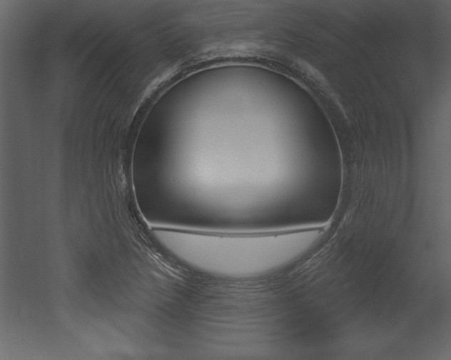 X0000053001218200507080946