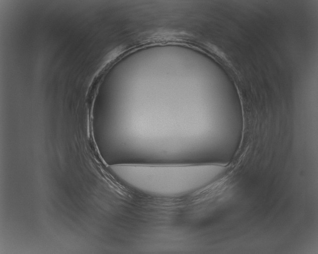 X0000053001219200507080946