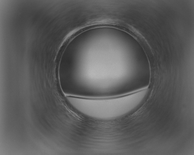 X0000053001222200507080946