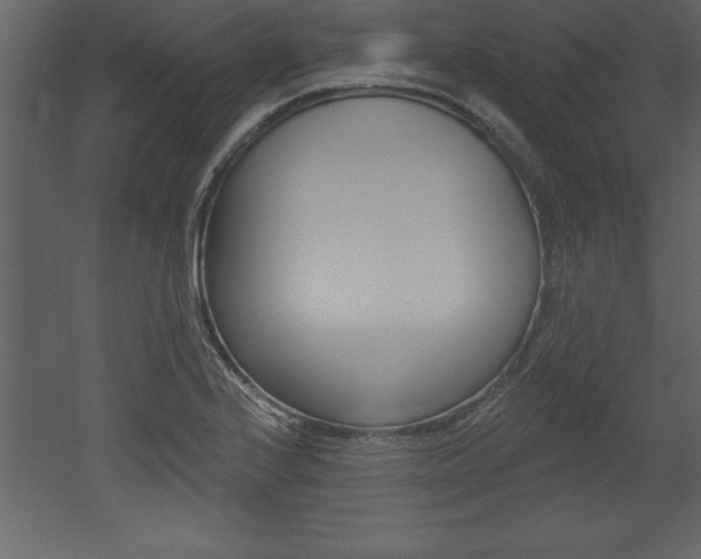 X0000053001224200507080946