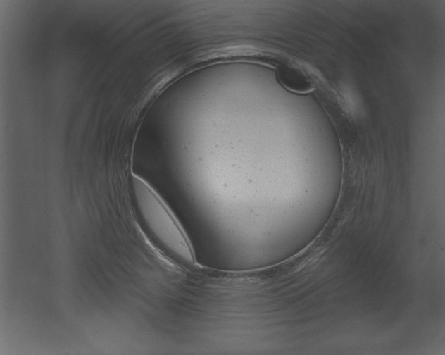 X0000053001225200507080946
