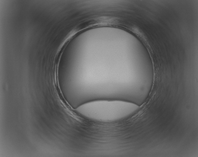 X0000053001227200507080946