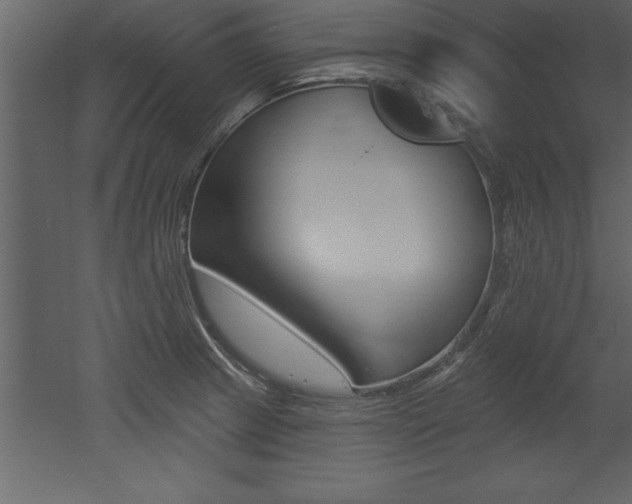 X0000053001233200507080947