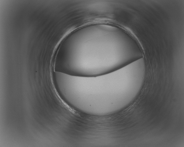 X0000053001235200507080947