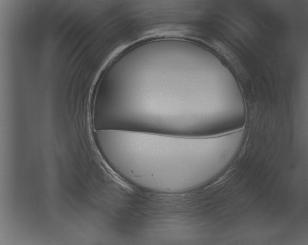 X0000053001240200507080947