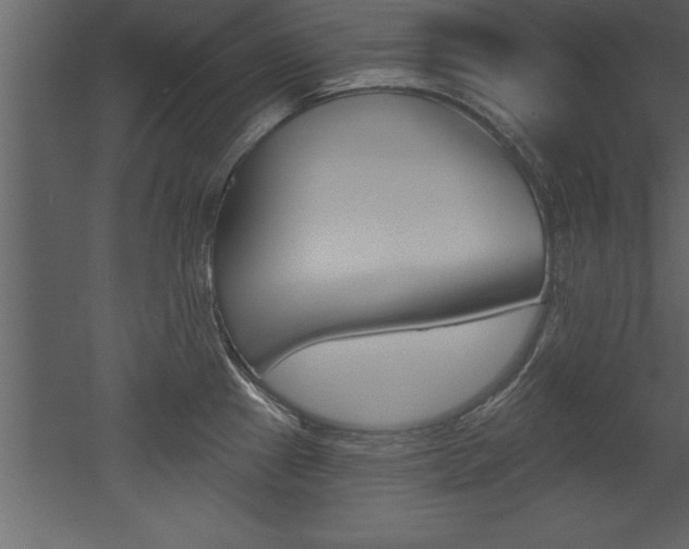 X0000053001241200507080947