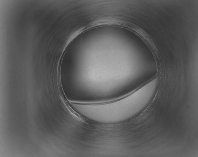 X0000053001242200507080947