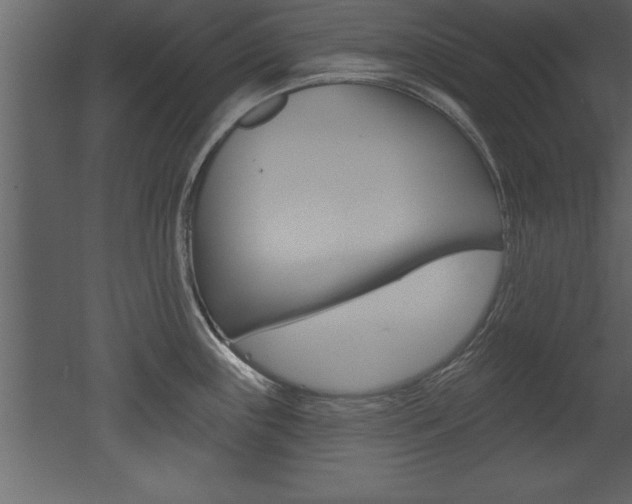 X0000053001243200507080947