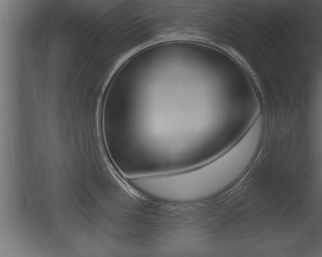 X0000053001246200507080947