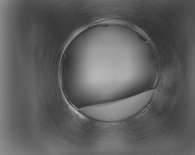 X0000053001247200507080947