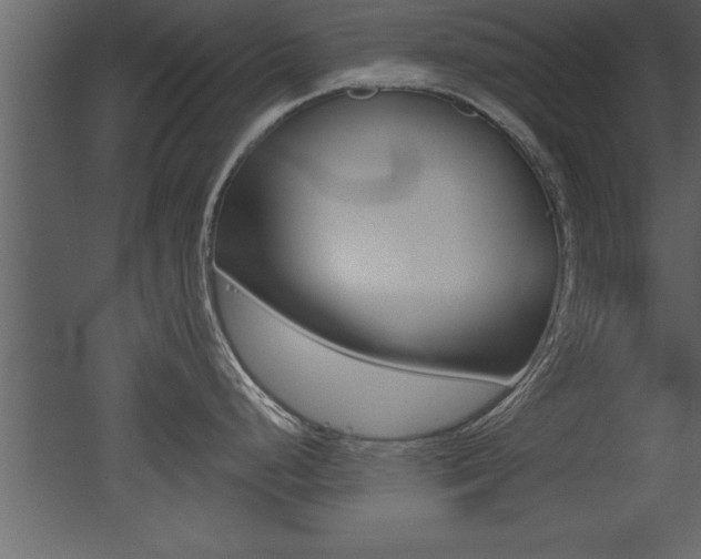 X0000053001248200507080947