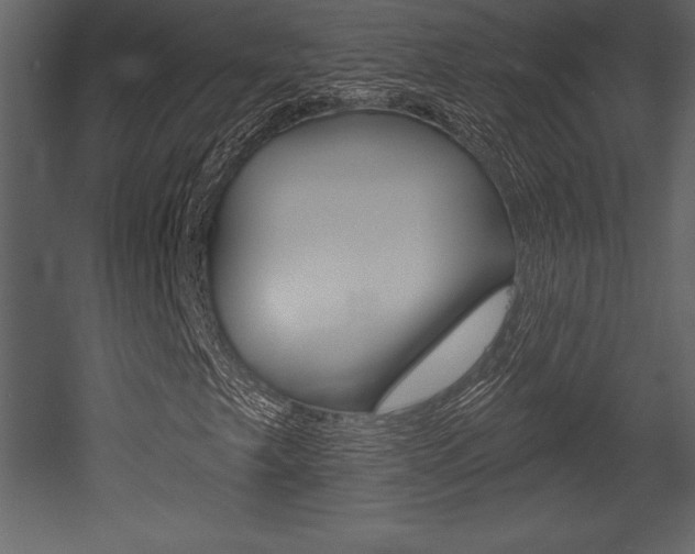 X0000053001249200507080946