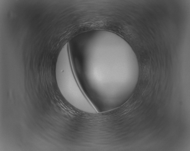 X0000053001250200507080946