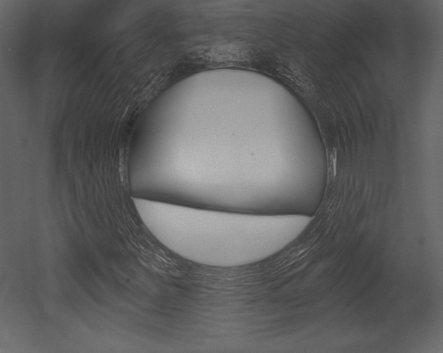 X0000053001251200507080946