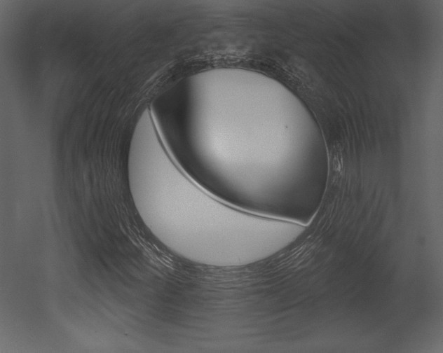 X0000053001252200507080946