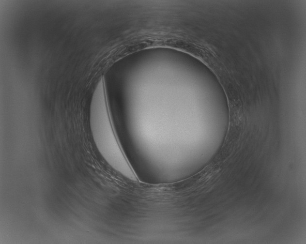 X0000053001253200507080946