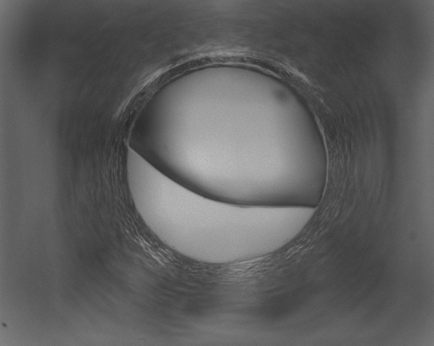 X0000053001255200507080946