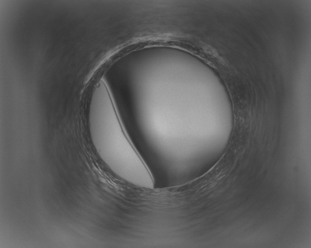 X0000053001256200507080946