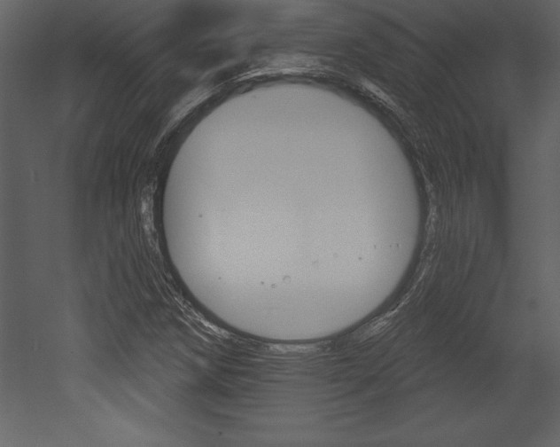 X0000053001258200507080946