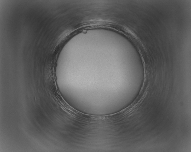 X0000053001259200507080946