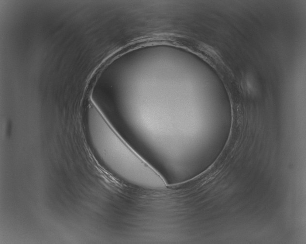 X0000053001260200507080946