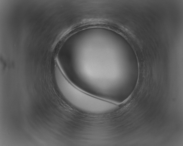X0000053001261200507080946