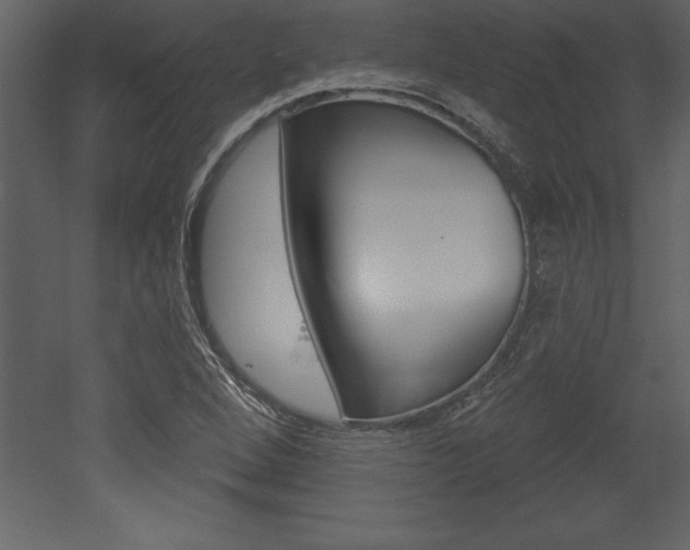 X0000053001264200507080946