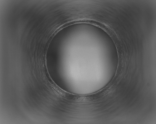 X0000053001265200507080946