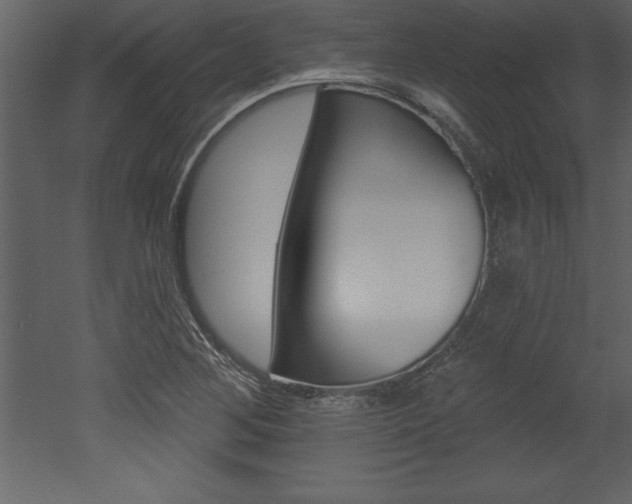 X0000053001268200507080946