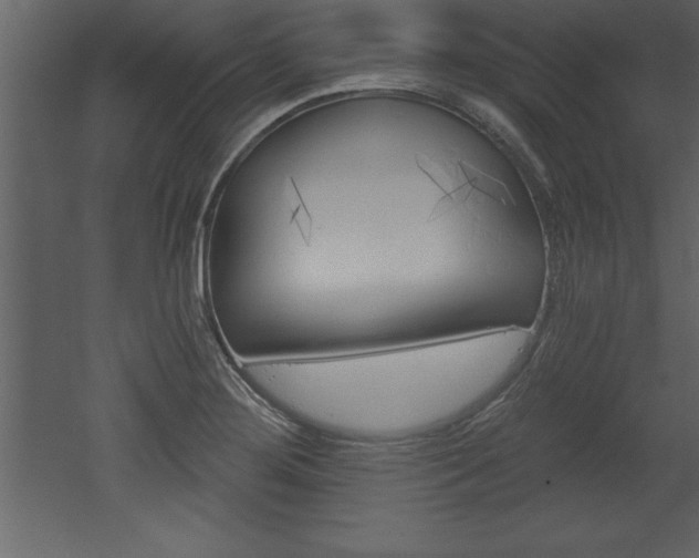 X0000053001276200507080946