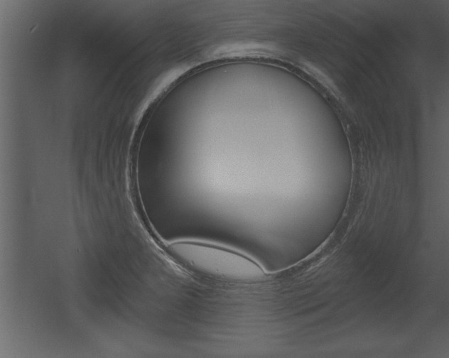X0000053001277200507080946