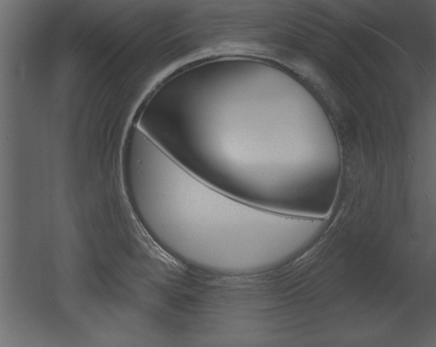 X0000053001280200507080945