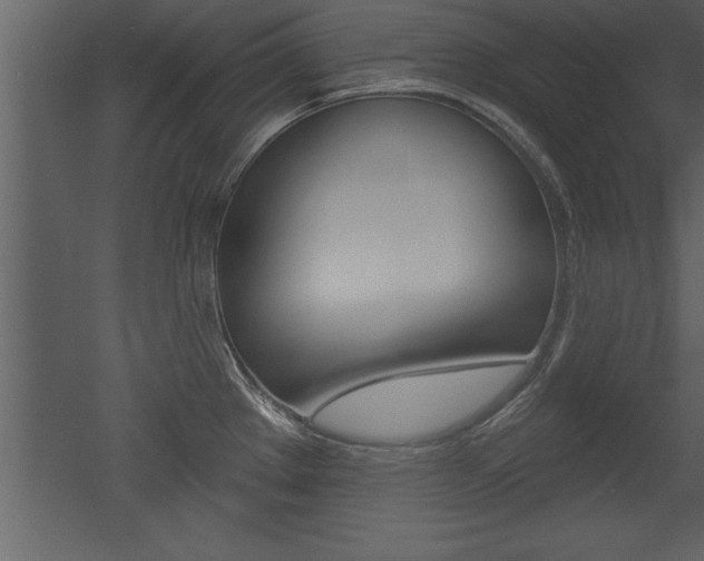 X0000053001289200507080945