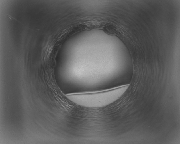X0000053001297200507080944