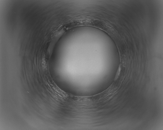 X0000053001298200507080944