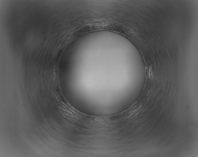 X0000053001299200507080944