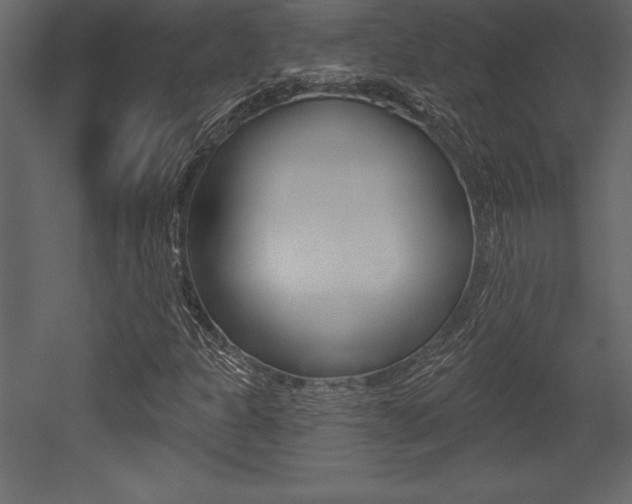 X0000053001301200507080944