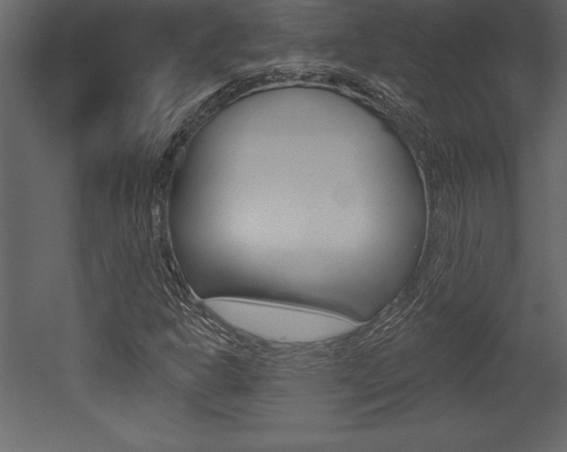 X0000053001302200507080944
